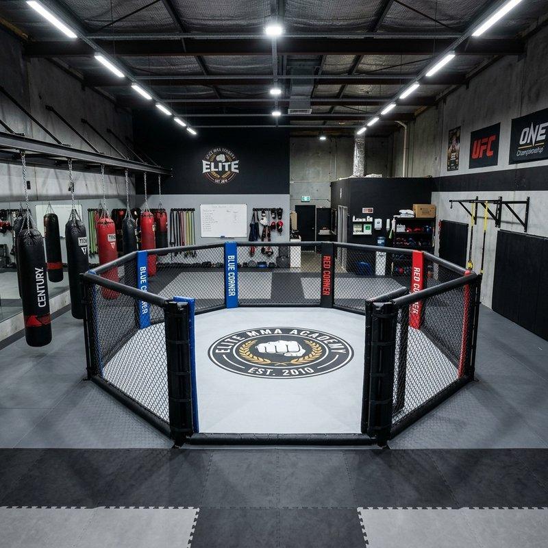 MMA для начинающих: с чего начать и чего ждать от первой тренировки — фото 2